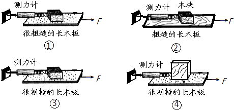 小红同学用弹簧测力计拉动同一木块在水平面上进行甲,乙,丙三次实验